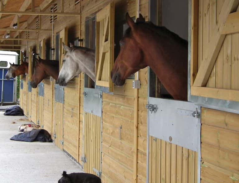 Horse Stable Builders in Kent | National Timber Buildings