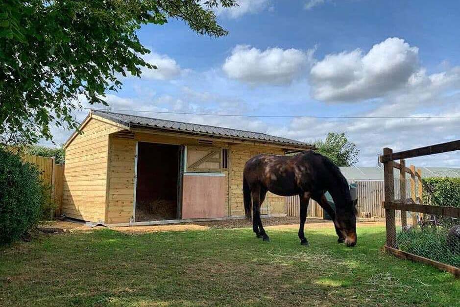 field-Shelter-with-horse-in-field