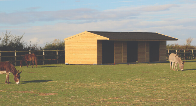 field-shelters-for-horses