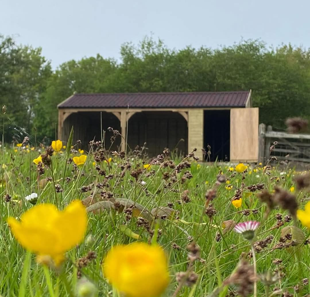 Wooden Carports in Scotland 3